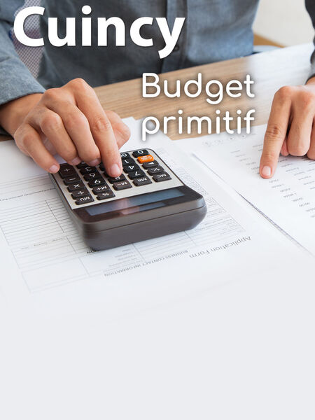 Budget primitif